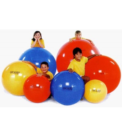 Balones Gymnic